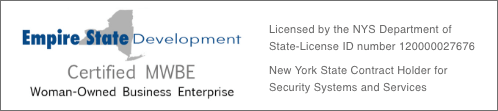 Empire State Development MWBE Logo