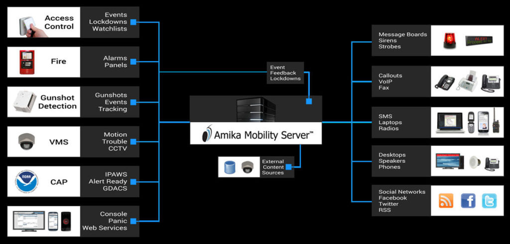 Amika Mobile Graphic
