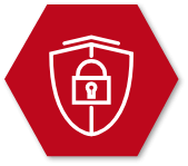 Long Term Results TSG Security Icon